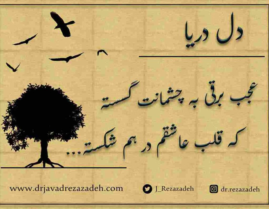 دل دریا