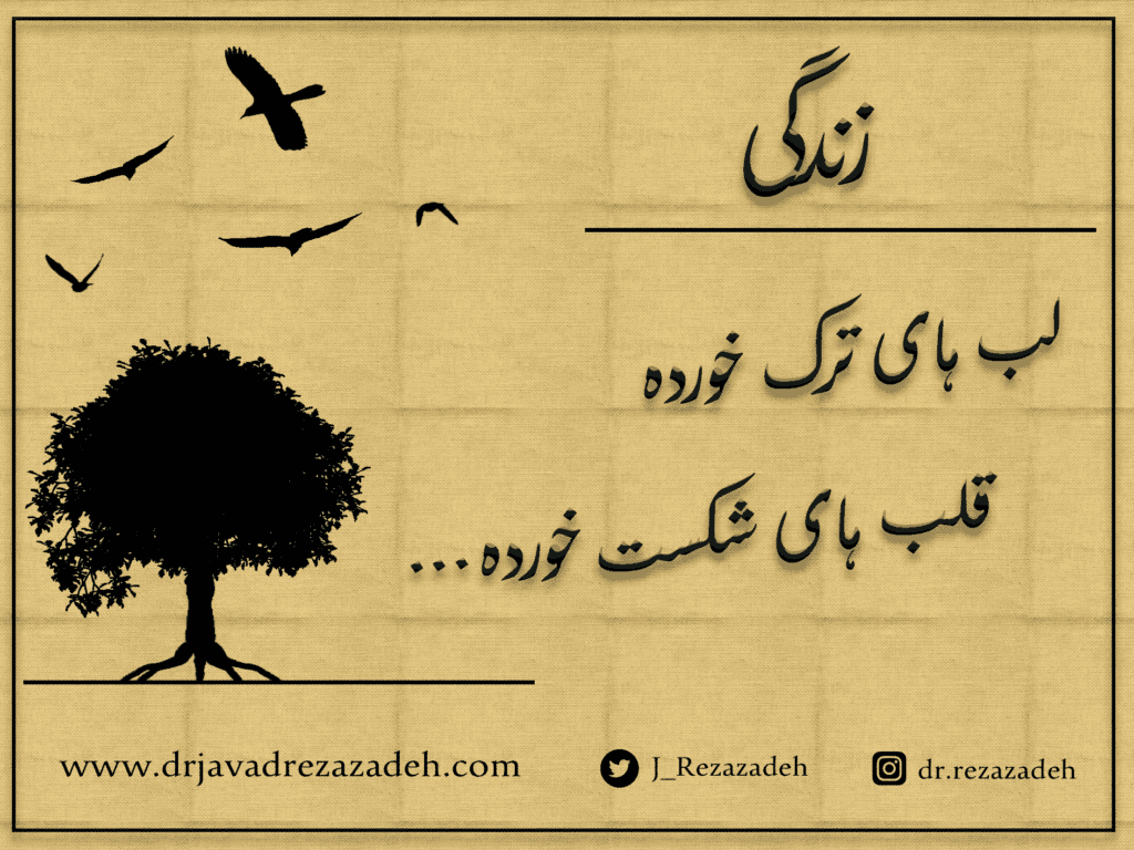 زندگی