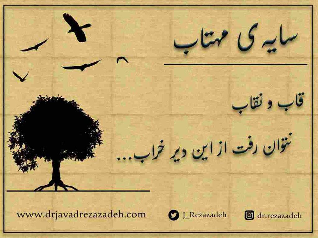سایه مهتاب