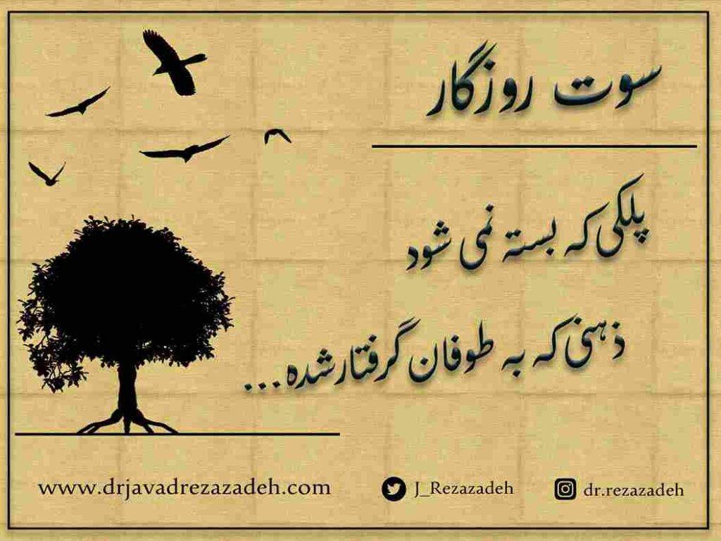 سوت روزگار